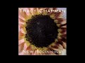 Tracy Chapman - Cold Feet
