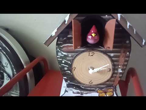 The Worlds best cuckoo clock
