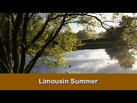 Limousin