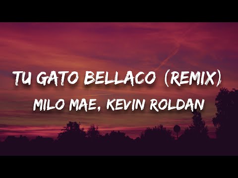 Milo Mae, Kevin Roldan - TU GATO BELLACO (Remix) (Letra / Lyrics)
