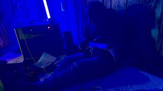 UPCHURCH “Animal” (CREEKER II RELEASE)