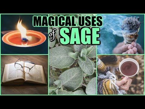 BENEFITS OF SAGE TO GET RID OF NEGATIVE ENERGY, REMOVE OBSTACLES, NIGHTMARES, ATTRACT YOUR DESIRES! Video