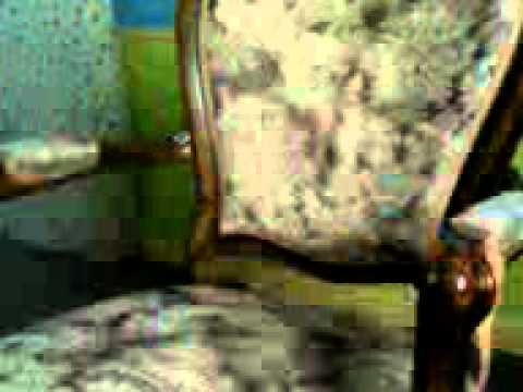 Mago Benjamin Con su primera Teletransportacion