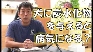 犬に炭水化物は必要なのか？