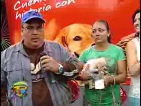 Resumen Domingo para Todos. 11 Agosto 2013