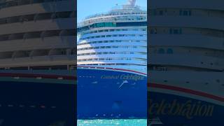 Carnival Celebration 🛳️ #share #like #subscribe #comment #cruise #vacation #shortvideo #shortsvideo