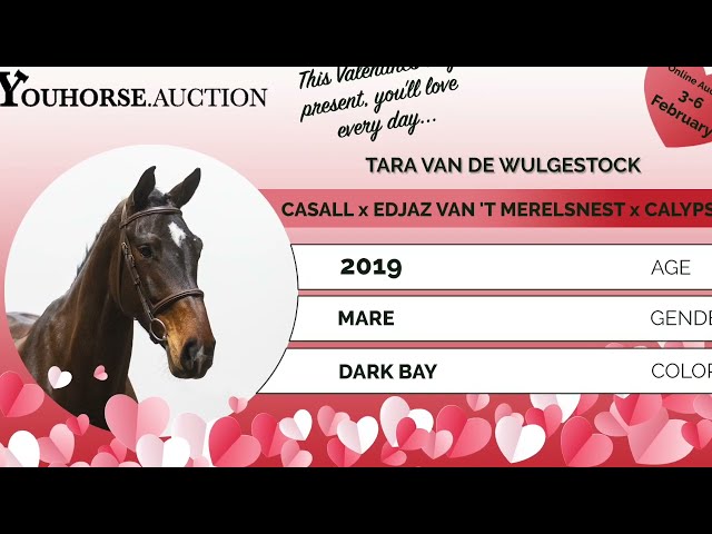 Tara van de Wulgestock @ the show