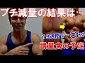【プチ減量の結果報告】ダイエット開始から19週間の変化や食事内容&バルクアップに向けた増量食の予定等について!