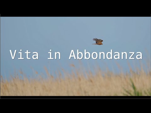 Culto Live, Domenica 20/11/2022. "Vita in Abbondanza" (Giovanni 10:10).