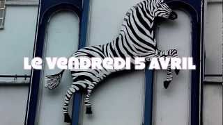 zebra day