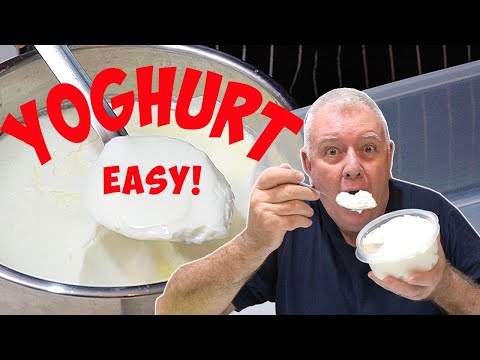 How to make PERFECT GREEK Yoghurt - Thick, Tangy & Foolproof!