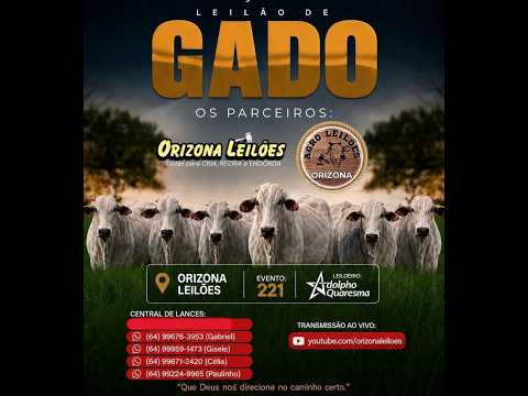 Orizona Leilões + Agro Leilões - 13/08/2026 I Leilão ao Vivo - Leilão em Goiás
