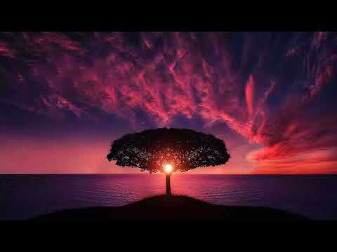 Psy Chill by DJ Natasha Urman - EURO SUN SET