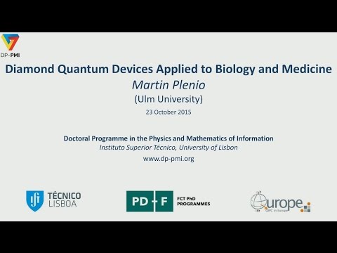 DP-PMI - QIT 2015 - Lecture 5: Martin Plenio