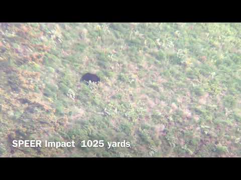 .308 win 150gr Speer Gold Dot Review