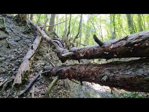 Kaňon Zemplínska Teplica