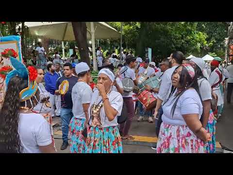 Congada Nossa Senhora do Rosário de Chapada do Norte MG no Canjerê 2025 