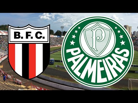 Gol e Melhores Momentos ( Botafogo-SP 0 x 1 Palmeiras ) Paulistão 2018