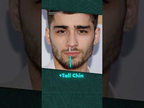 How attractive is Zayn Malik?