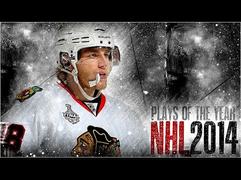 NHL's Plays of the Year 2014 [HD]