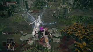 アクション苦手なやつをご照覧あれ！　#2　城攻め