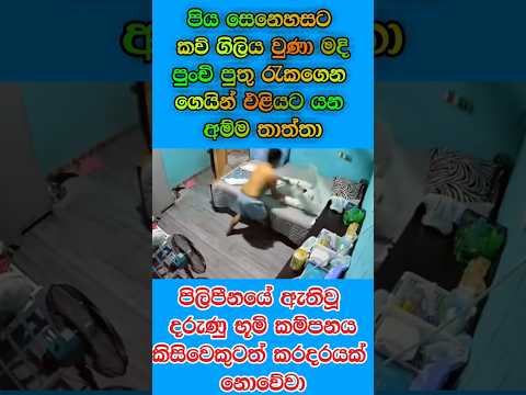 Philippines #shortvideo #love භූමිකම්පනය අතර දුටු පිය සෙනෙහස