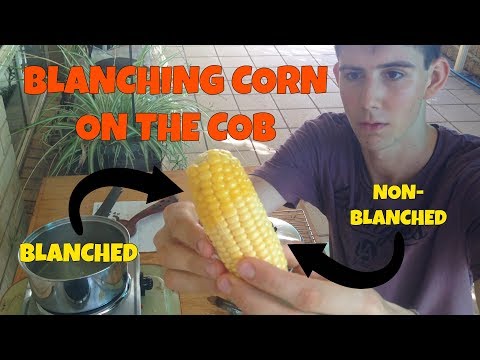 download lagu mp3 mp4 Why Do You Blanch Corn Before Freezing, download lagu Why Do You Blanch Corn Before Freezing gratis, unduh video klip Why Do You Blanch Corn Before Freezing