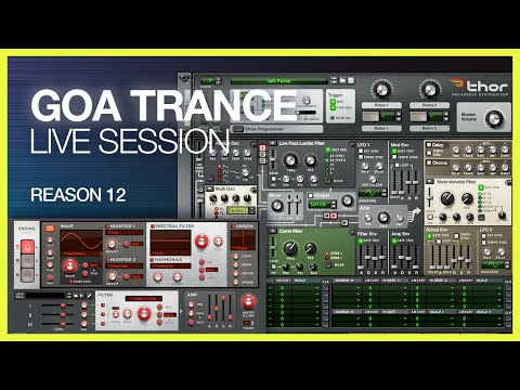 Psytrance (Goa) Reason 12 2022 Live Mix