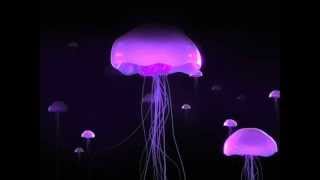 Timeok - Seven Floating Ways (Dave Emanuel Remix)
