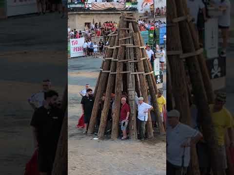 20 de agosto de 2024