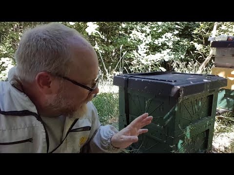 Skapar nya bisamhällen - enkel delning