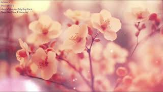 Lovely Lullabies - Utada Hikaru Automatic 宇多田光 Instrumental Music Relaxing BGM | Piano Musicbox 🎵
