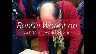 Rückblick 2017 Bonsai-Workshop mit Adriano Bonini
