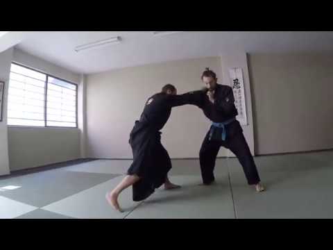 Exploring Suisha no kata of Kukishinden Ryu