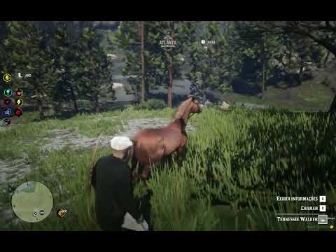 [ATLANTA ROLEPLAY] DOMADOR DE CAVALO