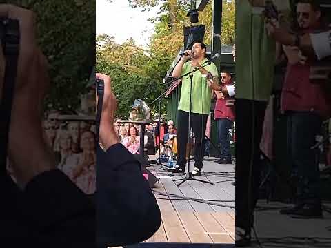 Som en kung från Luthagen. Vinnaren av Cornelis Stipendiatet 2022!  Grattis @dogge_doggelito