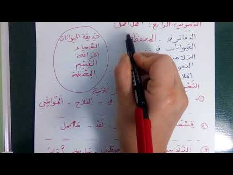 مراجعة  عامة للغة العربية للسنة الثانية ابتدائي