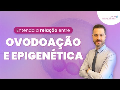 Reproduzir Vídeo