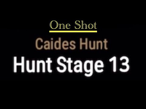 Caides Hunt 100% One Shot Team