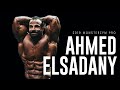 2019 Monsterzym Pro AHMED ELSADANY BODYBUILDING 212 FREE POSING 몬스터짐프로 아흐메드 엘사다니 보디빌딩 212 자유포징