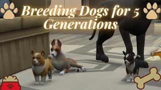 Breeding Dogs in the Sims 4 for 5 Generations