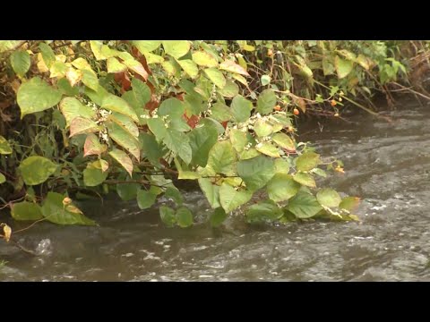 Water levels, concerns for floods rise amid Connecticut downpours