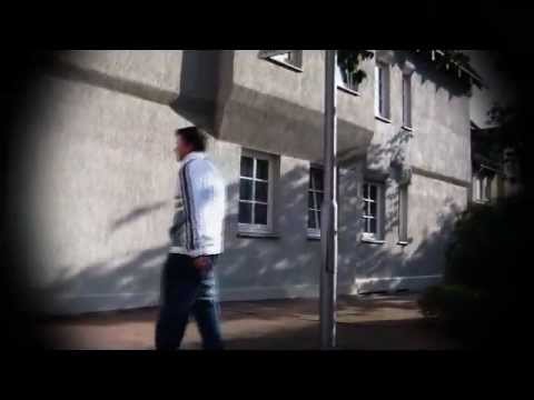 HOLLEWOOD ALLSTARS  -  Kleinstadtprominenz