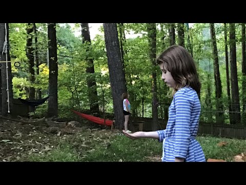 Forced Perspective Photo Tricks For Kids w Phone or Tablet Camera