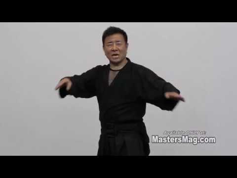 The Art of Hollywood Ninja Action Film Making - Vol-2 by Sho Kosugi