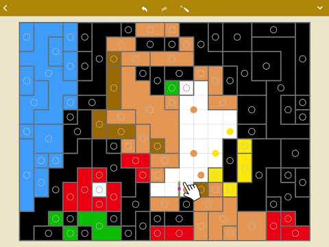 Sym-a-Pix: Nonogram Symmetry Video