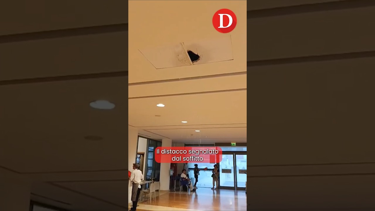 Descrizione dell'immagine