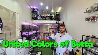 United Colors of Betta I Pune