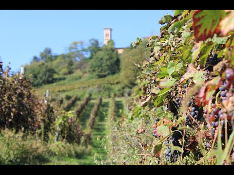 Emilia-Romagna - Santa Giustina Virtual Visit