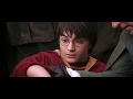 Harry Potter Broken Arm